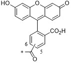 荧光素化学结构